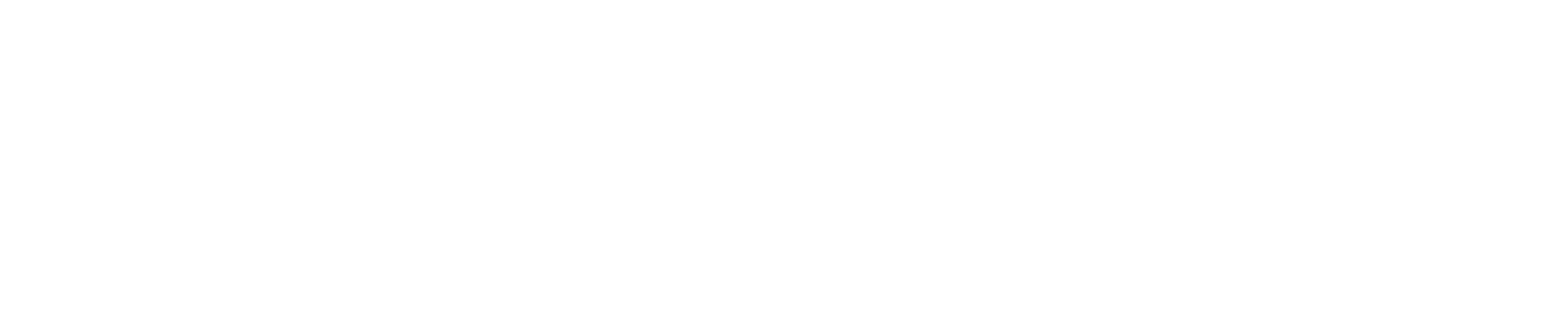 Austria Systems